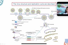 UAMC-Oral-127